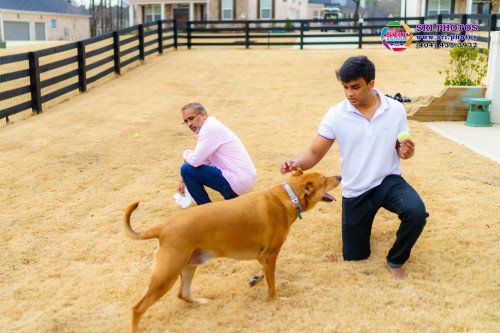 Gopinath + Archana Photo