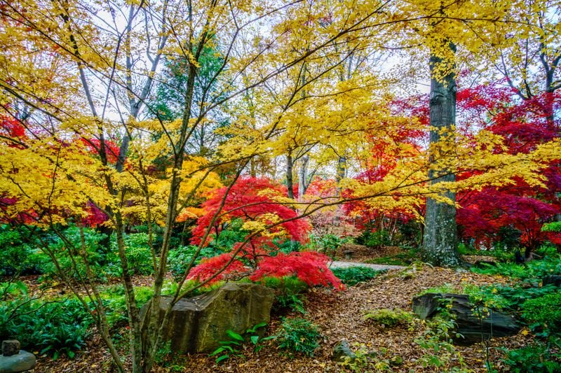 Fall Colors Photo