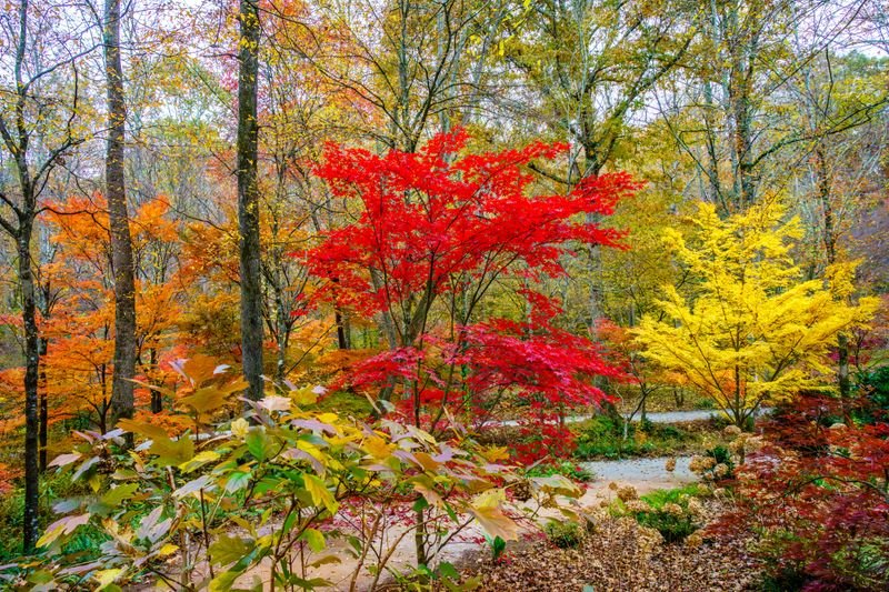 Fall Colors Photo
