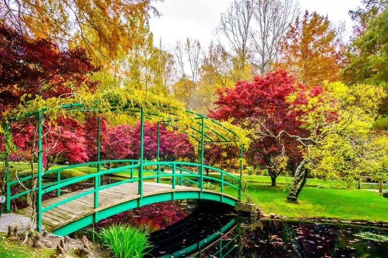 Fall Colors Photo